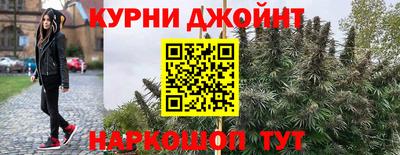 СК Гай
